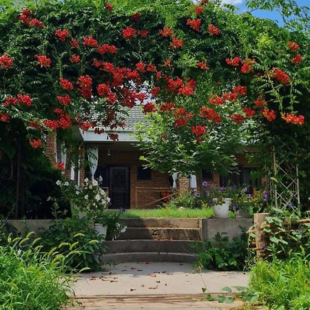 Arman Otel Saryaghash Dış mekan fotoğraf